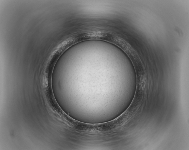 X0000110960731200906261341