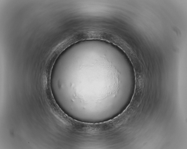 X0000110960733200906261341