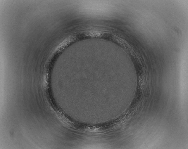 X0000110960735200906261341