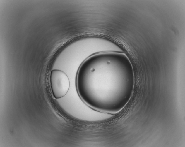 X0000110960736200906261341