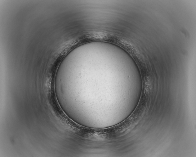 X0000110960739200906261341