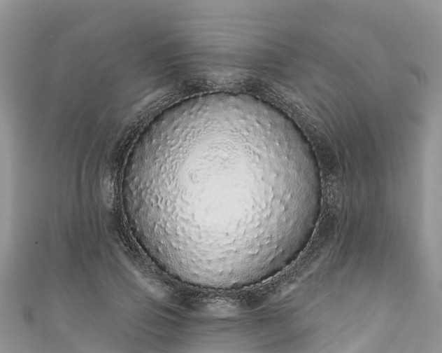 X0000110960741200906261341