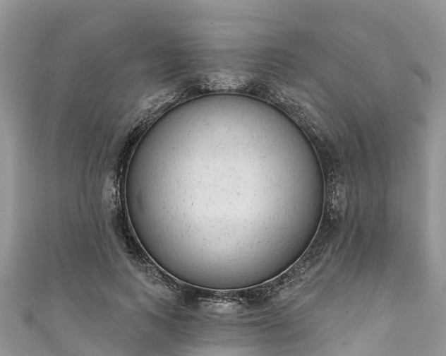 X0000110960743200906261341