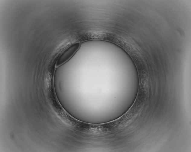 X0000110960744200906261341