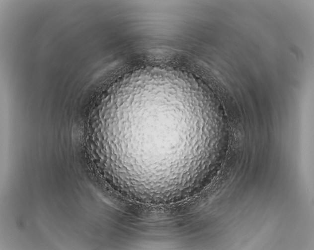 X0000110960745200906261341