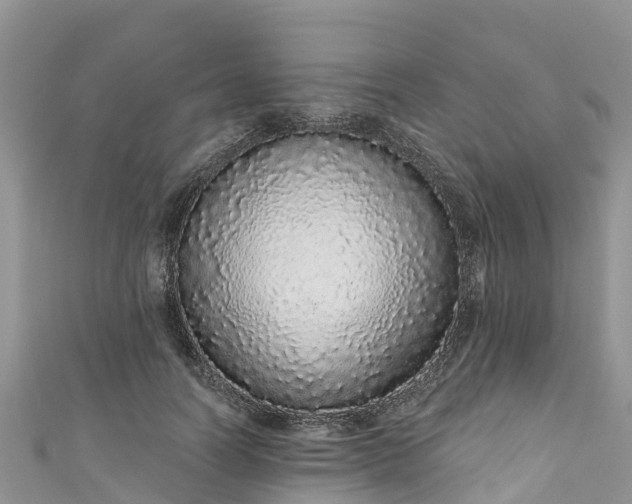 X0000110960746200906261341