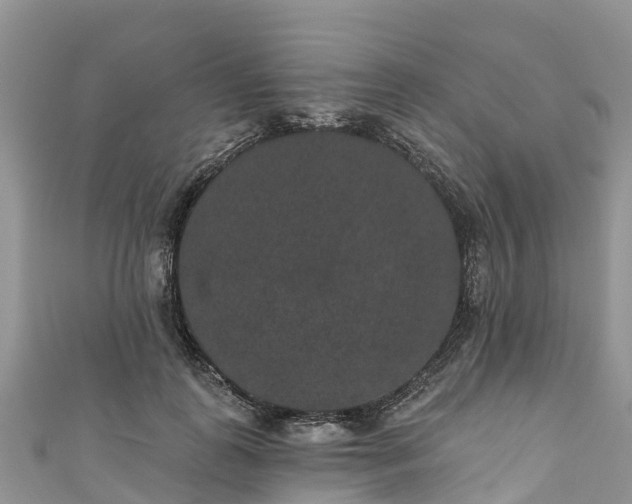 X0000110960747200906261341