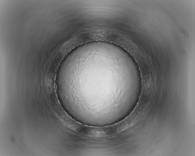 X0000110960749200906261341