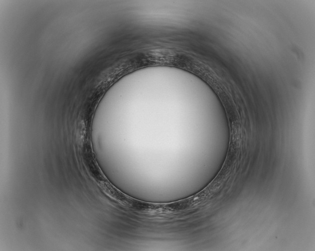 X0000110960752200906261341