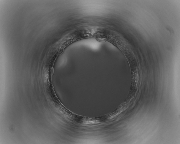 X0000110960754200906261341