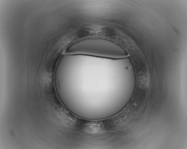 X0000110960756200906261341