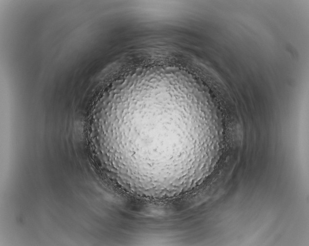 X0000110960757200906261341