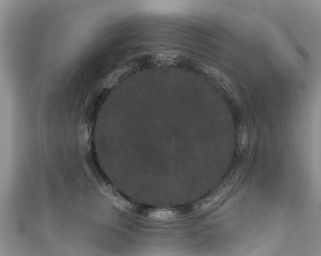 X0000110960759200906261341