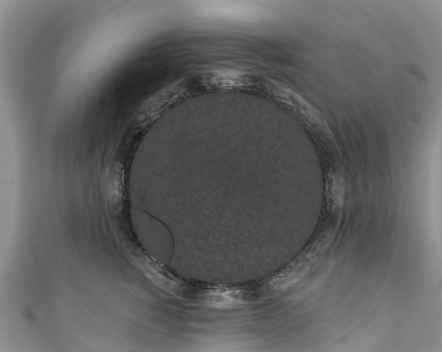 X0000110960760200906261341