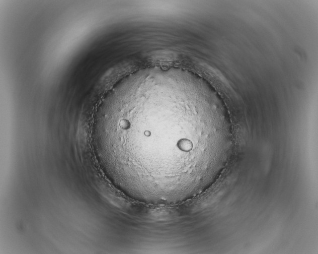 X0000110960761200906261341