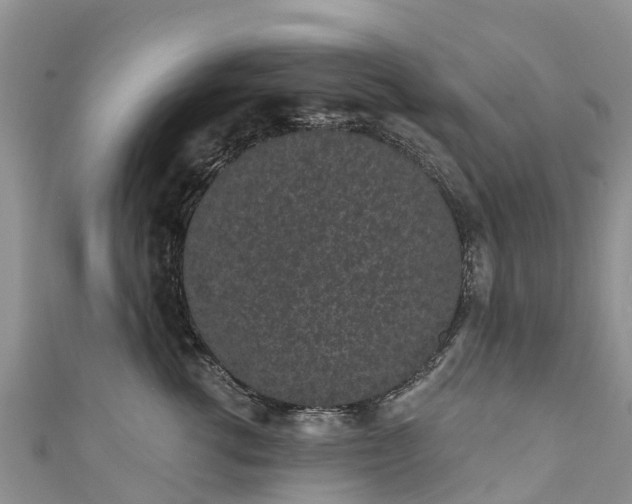 X0000110960762200906261341