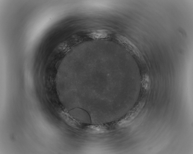 X0000110960763200906261341