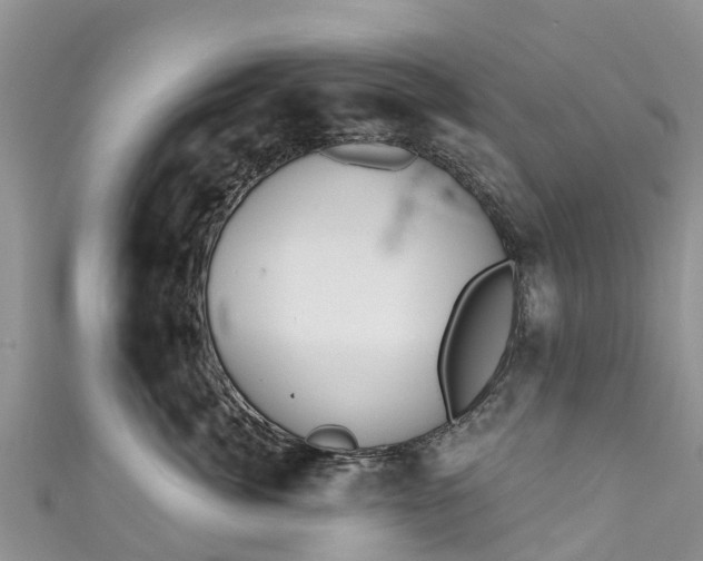 X0000110960764200906261341