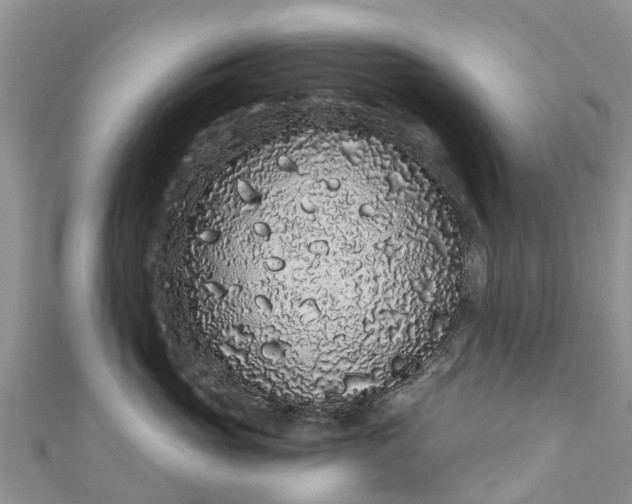 X0000110960765200906261341