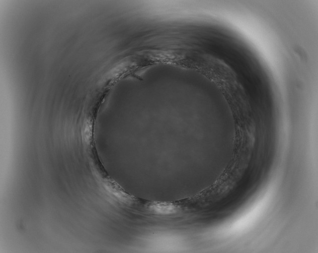 X0000110960767200906261341