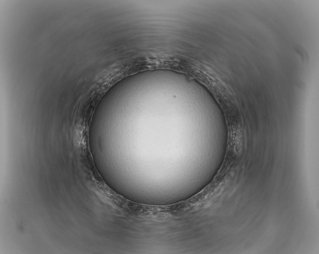 X0000110960770200906261341