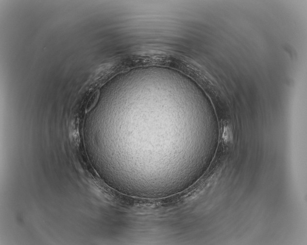 X0000110960771200906261341