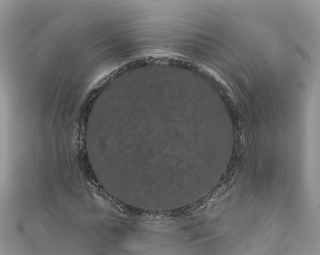 X0000110960775200906261341