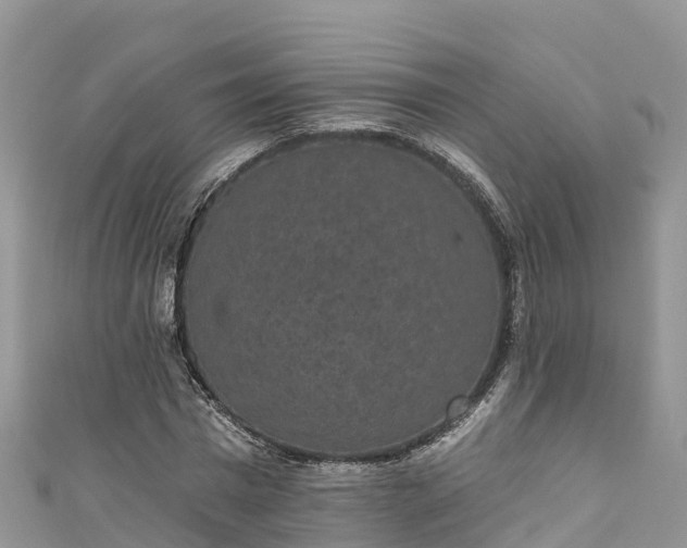 X0000110960777200906261341