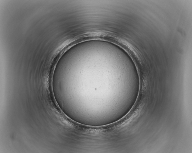 X0000110960778200906261341