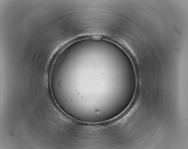 X0000110960781200906261341