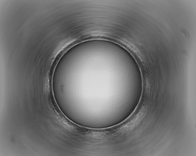 X0000110960782200906261341