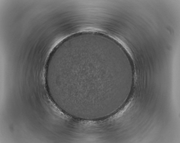 X0000110960783200906261340