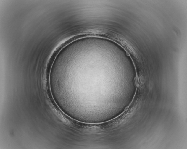 X0000110960784200906261340