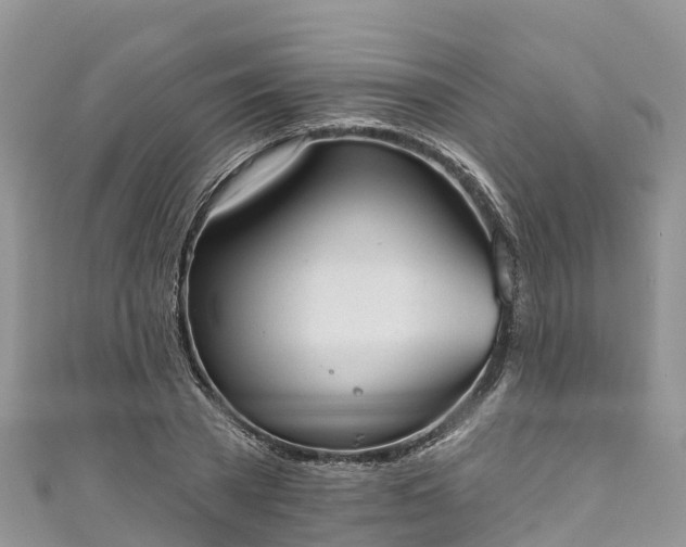 X0000110960785200906261340