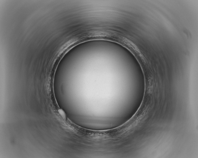 X0000110960786200906261340