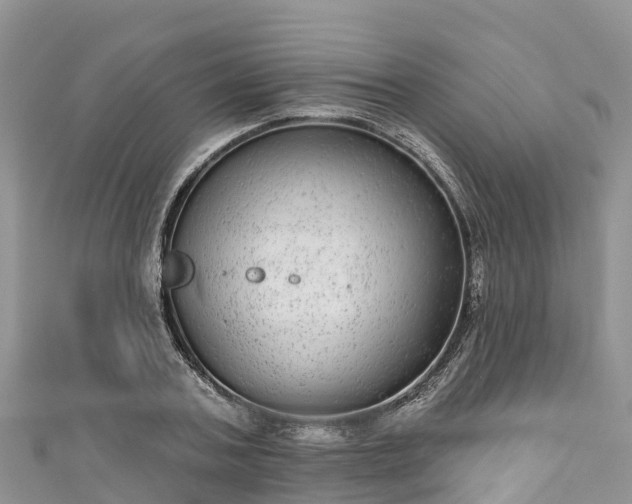 X0000110960787200906261340