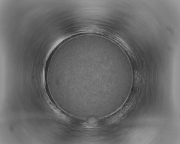 X0000110960788200906261340