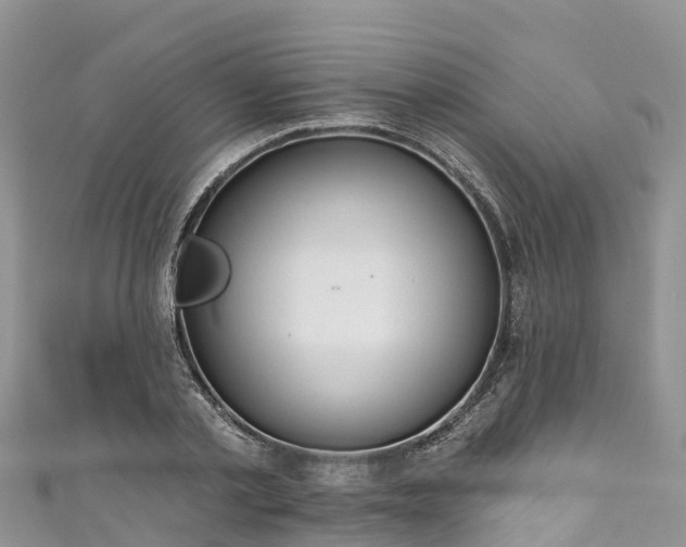 X0000110960789200906261340