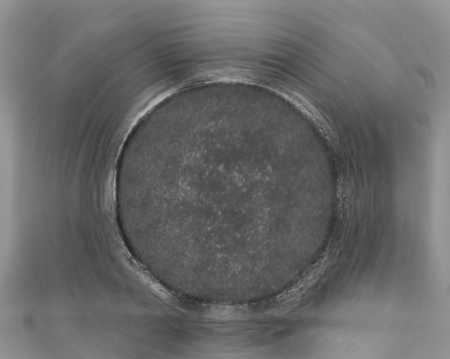 X0000110960790200906261340