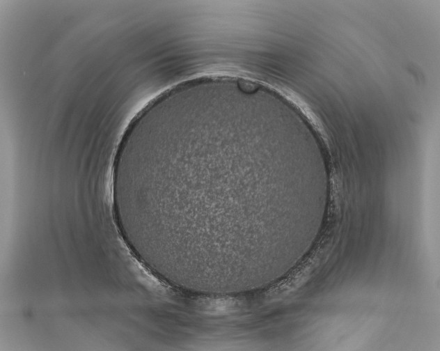 X0000110960791200906261340