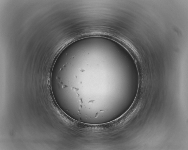 X0000110960793200906261340