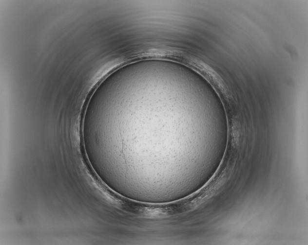 X0000110960794200906261340