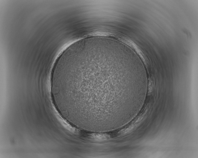 X0000110960795200906261340