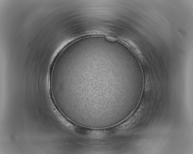 X0000110960796200906261340