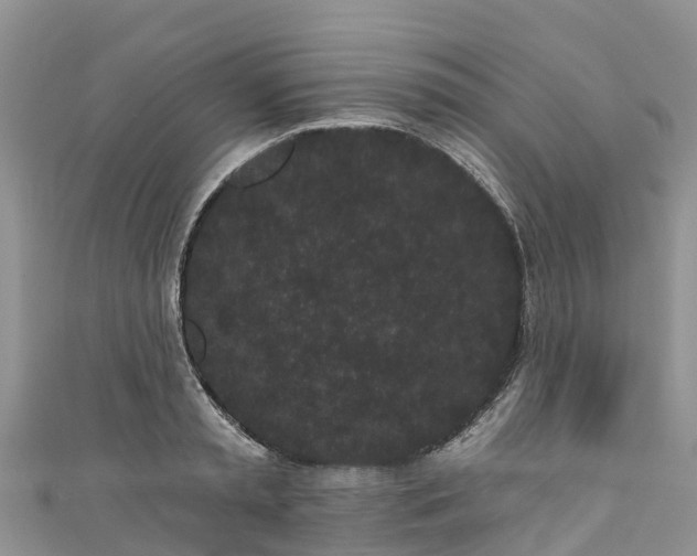 X0000110960797200906261340