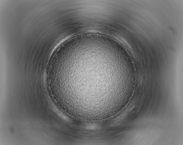 X0000110960798200906261340