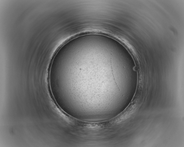 X0000110960799200906261340