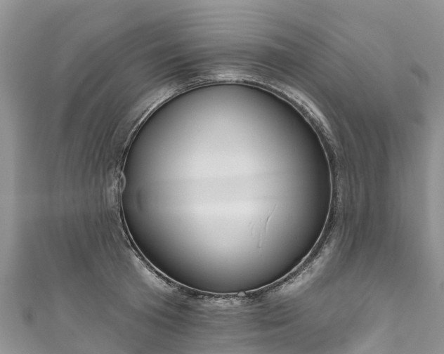 X0000110960801200906261340