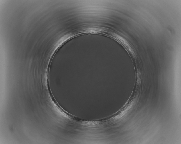 X0000110960802200906261340