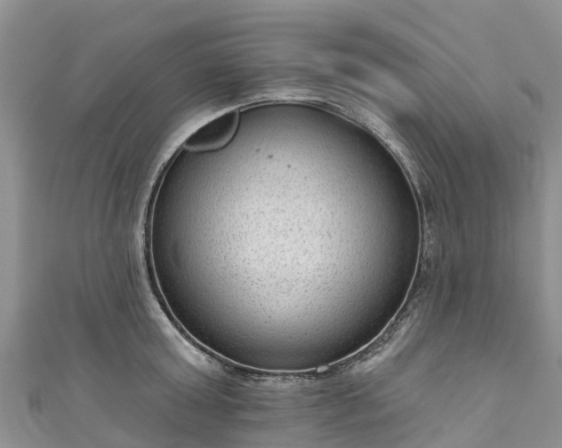 X0000110960803200906261340